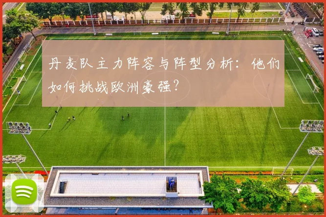 丹麦队主力阵容与阵型分析：他们如何挑战欧洲豪强？