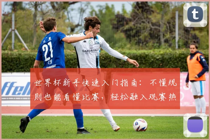 世界杯新手快速入门指南：不懂规则也能看懂比赛，轻松融入观赛热潮